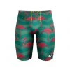 Q Swimwear Flamingo Jammer