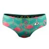 Q Swimwear Flamingo Brief