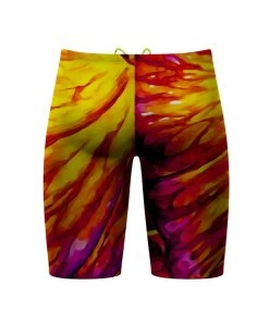 Q Swimwear Butterfly Jammer