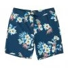 Billabong Sundays Layback Boardshorts Navy