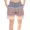 MI Sports Vissla The Ledge 18.5" Sofa Surfer Shorts Clothing